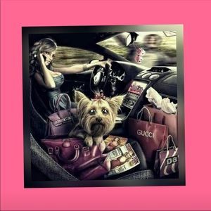 Meet your Posher, Gragraciela